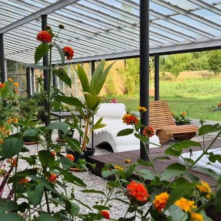 Villa Private House With Sauna, Jacuzzi And Hawaiian Hothouse
